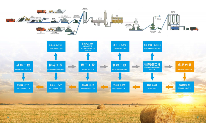 鲸鱼体育宣传册_13 - 副本.png